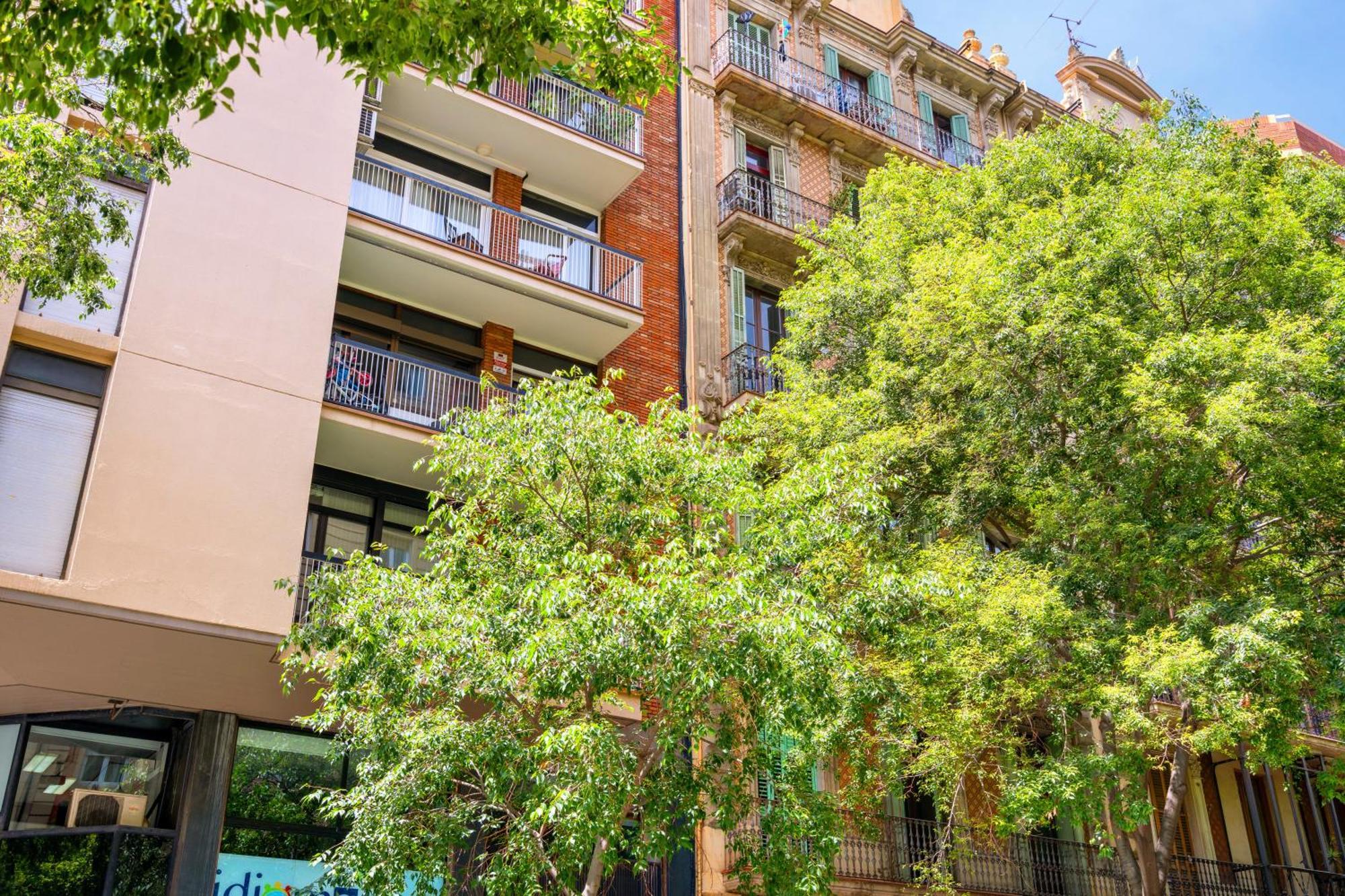 Spacious 5-bedroom In Appartement
